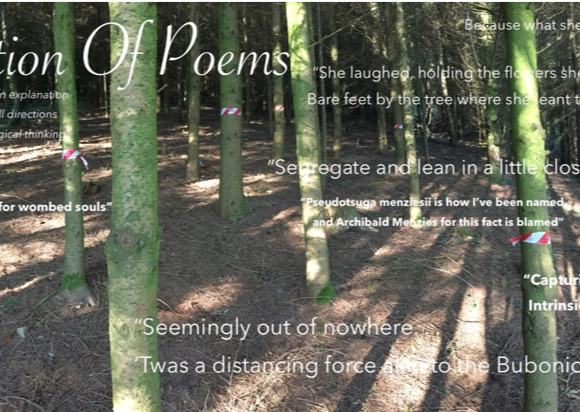 Plantation of Poems